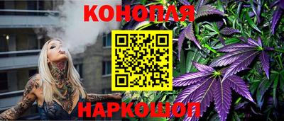 шишки Донской