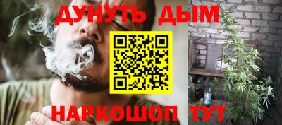 шишки Донской