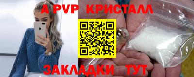 шишки Донской
