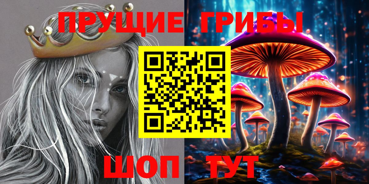 Псилоцибиновые грибы ЛСД Мценск